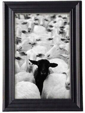 Vintage Black sheep Farmhouse Cute Boho Retro Home Shabbychic Vin Sheeps Animals